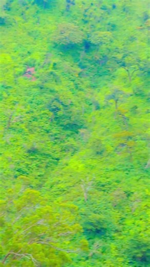 Best pascal pk🇨🇩🇨🇳 (@bestpascalpk1)’s videos with son original - Pénaël KODIA