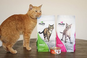 Unbiased Nulo Cat Food Review - Cats.com