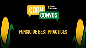 29 reactions · 13 shares | Fungicide decision time is quickly...