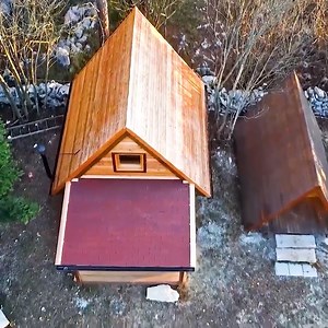 29K views · 263 reactions | A 24-year old couple built an off grid cabin! | MetDaan Creative | Facebook