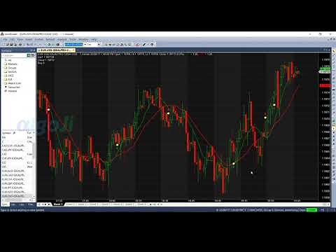 Amibroker Quant Trading Course 6.2 Algorithmic Trading with Interactive Brokers TWS