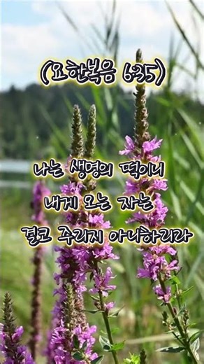 요한복음 6장 35절 말씀찬양 | 나는 생명의 떡이니 | 아침 말씀