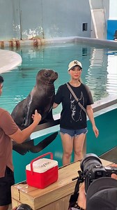 1.2K views · 31 reactions | Summer fun found at Ocean Adventure Subic Bay! Sea lion smiles, dolphin swims – a perfect place for kids (or your inner child!). Don't believe us? Ask Maria!  Tags: Hospitality Alliance of SBFZ #EXPTravelAndLivng #EXPMedia #OceanAdventureSubic #SubicFreeportZone #WhenInSubic #WhereToGoinSubic #GetLost #AskMaria | Experience Travel and Living | Facebook
