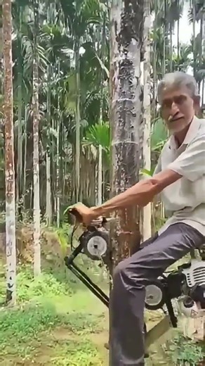 Modern machines are used to make it easier to climb trees quickly and without using energy #popular