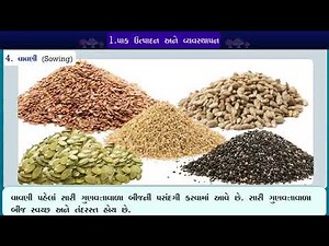 STD 8 Science Chapter 1