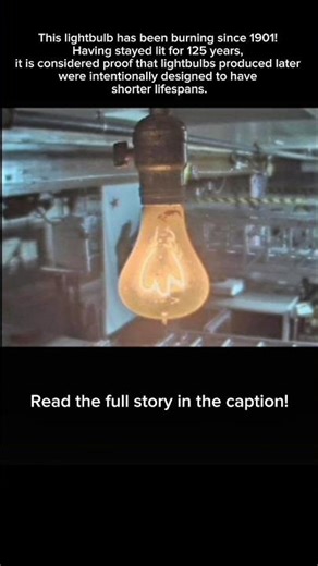 The 125-Year Lightbulb: Proof of Planned Obsolescence?