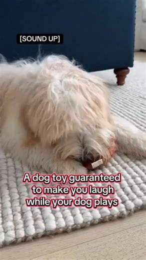  Looking for a gift they’ll never forget? This talking poop toy delivers pure chaos, contagious laughter, and the kind of silliness every family secretly loves. 藍 Perfect for kids, pranksters, and goofy pet parents! ⏳ Limited-time offer — grab it before the deal disappears! | Towardson | Facebook