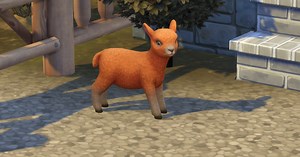 The Sims 4 Horse Ranch: How to get goats and sheep
