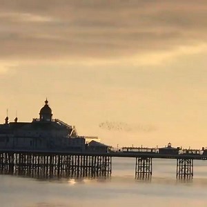 4.2K views · 170 reactions | Did you know that Sussex, and in particular Eastbourne, is one of the best places in the UK to witness starling murmurations? Watch this mesmerising display over Eastbourne Pier and turn the volume up to hear the soothing sounds of the sea  : postnichephotos via Instagram | Visit Eastbourne | Facebook