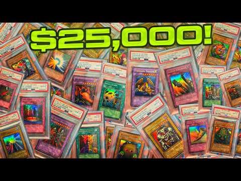 After 24 Years, I Finally Completed This Collection