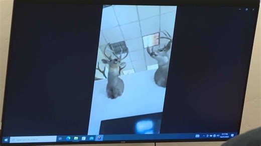 Seven Men Jailed for Annual Idaho Poaching Trips