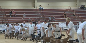 The American Dairy Goat Association hosting its 79th annual show in Grand Island
