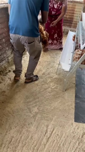 #viral #georgefarm #creatorsearchinsight #farming #fyp