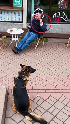 Un chien intelligent a subtilement montré son erreur à un homme irrespectueux. #FabiosaAnimals #Fabiosa #Animaux #drôle #chienintelligent | Fabiosa France