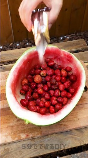 スイカゼリーレシピ 🍉