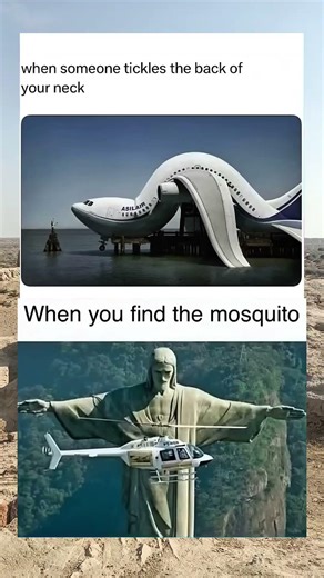 when you find....... #original