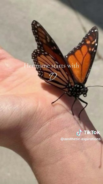 Aesthetic Names Starting with D