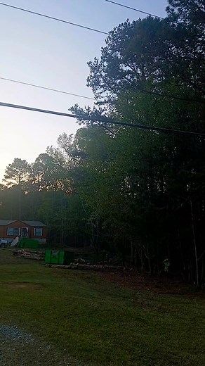 4 comments | Another Down | Driggers Tree Surgeons Llc. | Facebook