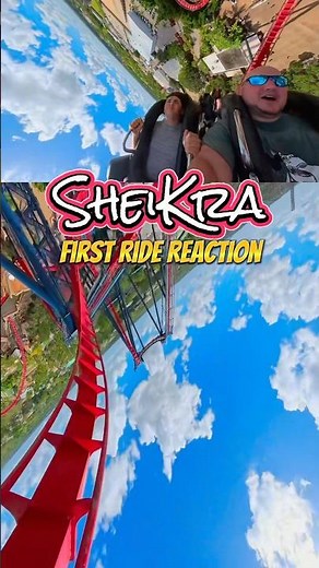 SheiKra at Busch Gardens Tampa Bay #rollercoaster #pov