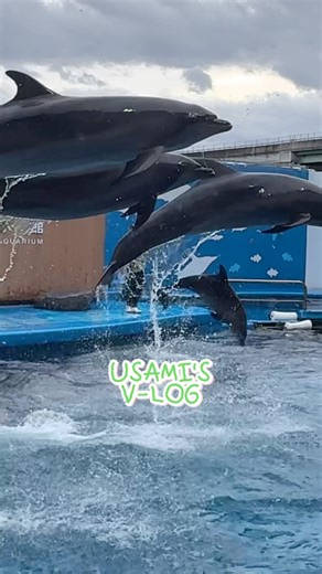 仙台うみの杜水族館