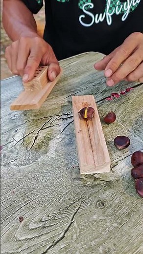 Chestnut Shell Wonder! Hands-On Peeling Tutorial