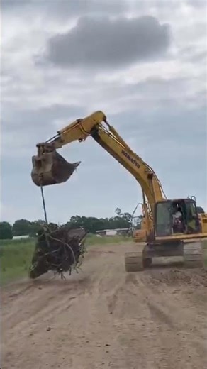Part 1 - Underground Sinker Cypress Forest Recovered