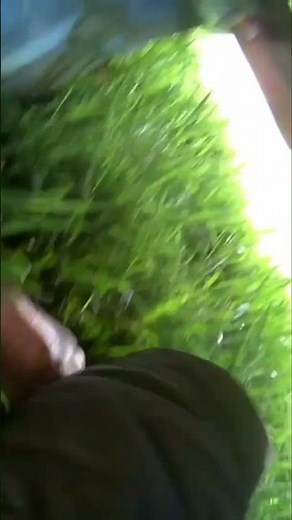 DIY Electric Motorcycle Conversion: My Next Big Project!