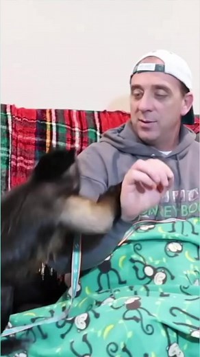 MonkeyBoo has some tasty popcorn #monkey #eating #popcorn #cute | MonkeyBoo