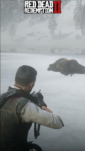 Best Repeater vs Grizzly Bear Test in RDR2 | Lancaster vs Evans vs Litchfield vs Carbine