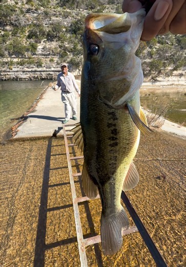 Catching Bass in Cold Water Conditions