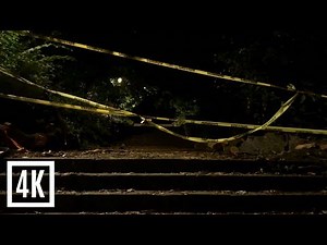 Night Walk Through a Dark Park | Ambience in 4K
