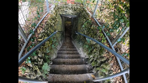 The Devil's Den is a well-known, privately owned spring. This is an unusual one; it's essentially a large karst formation, and it's popular for scuba diving. It's also a scuba training center. However, you can also snorkel to experience this unusual one: https://britonthemove.com/devilsdenspring/ #floridasprings #flsprings #foridaexplored #devilsden #devilsdenspring #springhunters #exploreflorida | Brit On the Move | Facebook