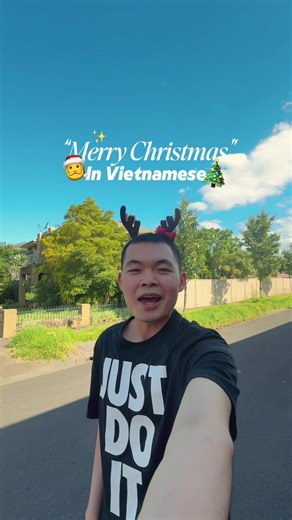 Merry Christmas in Vietnamese ✨🎄#vietnamese #haydenideo #fyp | Vietnamese Language
