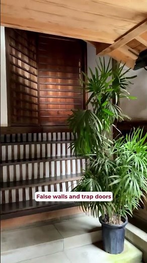 🔍 Uncover the Secrets of the Ninja Temple!