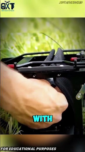 The Smart Bird Launcher That Trains Hunting Dogs Like Pros! #documentary #usashorts#fyp