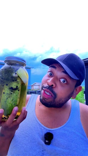 Who Loves Pickles? Quick Guide to Growing & Enjoying Pickles