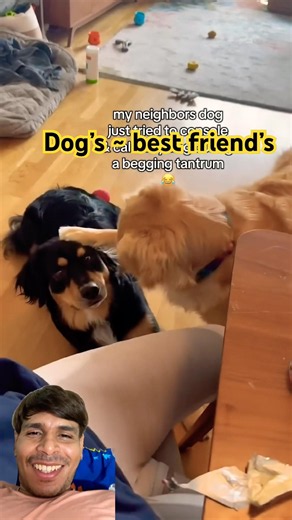 Dogs 🐶 and Their Best Friend 🦮Moments | Cute Dog Friendship Video🐾 #pets #viral #shorts #ytshorts