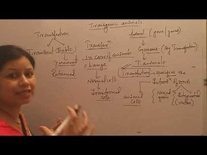 Transgenic animals 1 (Introduction)