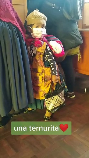 Hermosa niña cholita que ilumina con su sonrisa