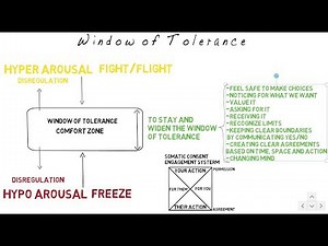 Window of Tolerance Map II Matthias Schwenteck