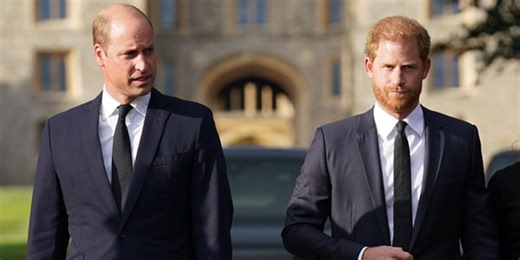 Prince William and Prince Harry's cousin, 20, found dead