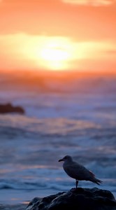Olympic National Park hidden beauty you must see