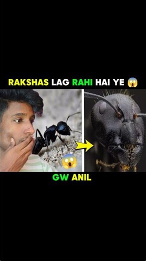 Rakshas is lagging behind this 😱