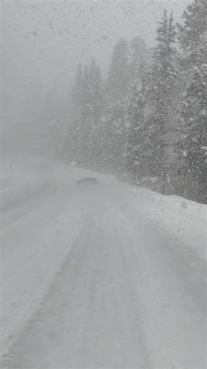 1.6K views · 58 reactions | WOLF CREEK PASS / Heavy Snow Storm. January 2024 Do you like driving in mountain snow???? | High Altitude Pagosa | Facebook