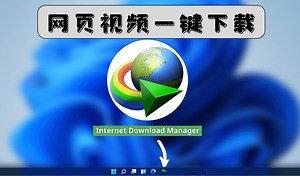 网页视频一键下载，最强下载软件IDM安装激活使用教程