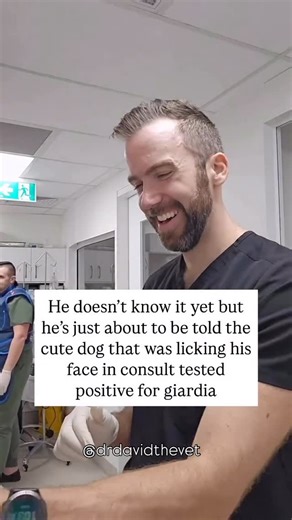 All For The Crunch -Monique Siemens on Instagram: "This is exactly why I take parasites seriously… 👇 That cute dog kiss? Turns out the pup tested positive for giardia — a parasite that can jump to humans and wreak havoc on the gut. Giardia isn’t rare — it spreads through: ✔️ Dog saliva & fur ✔️ Contaminated water (yes, even in North America) ✔️ Food handled with unwashed hands Symptoms can look like: 🟣 Chronic bloating 🟣 Diarrhea or constipation cycles 🟣 Fatigue & nutrient deficiencies The t