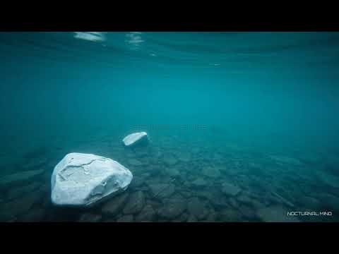 The Forgetting Curve — A Sleep Documentary on Memory and the Mind