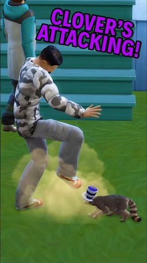 Don't MESS with raccoons!