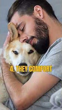 5 Ways Dogs Show They're Loyal to You! (This Will Melt Your Heart) 🐕💙