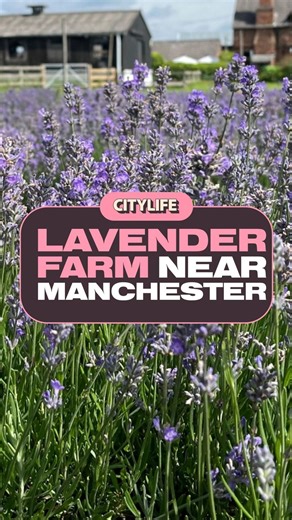 188K views · 447 reactions | Step inside Inglenook Farm 請 | What's On Manchester | Facebook